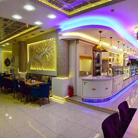 Grand Saatcioglu Hotel 4*
