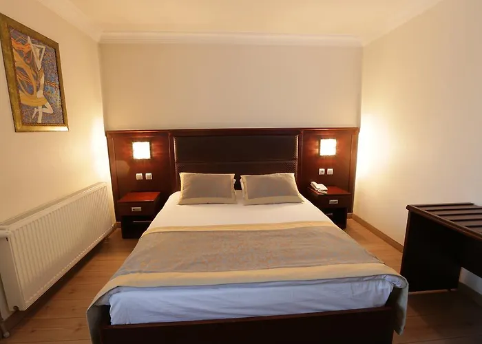 Grand Saatcioglu Aksaray